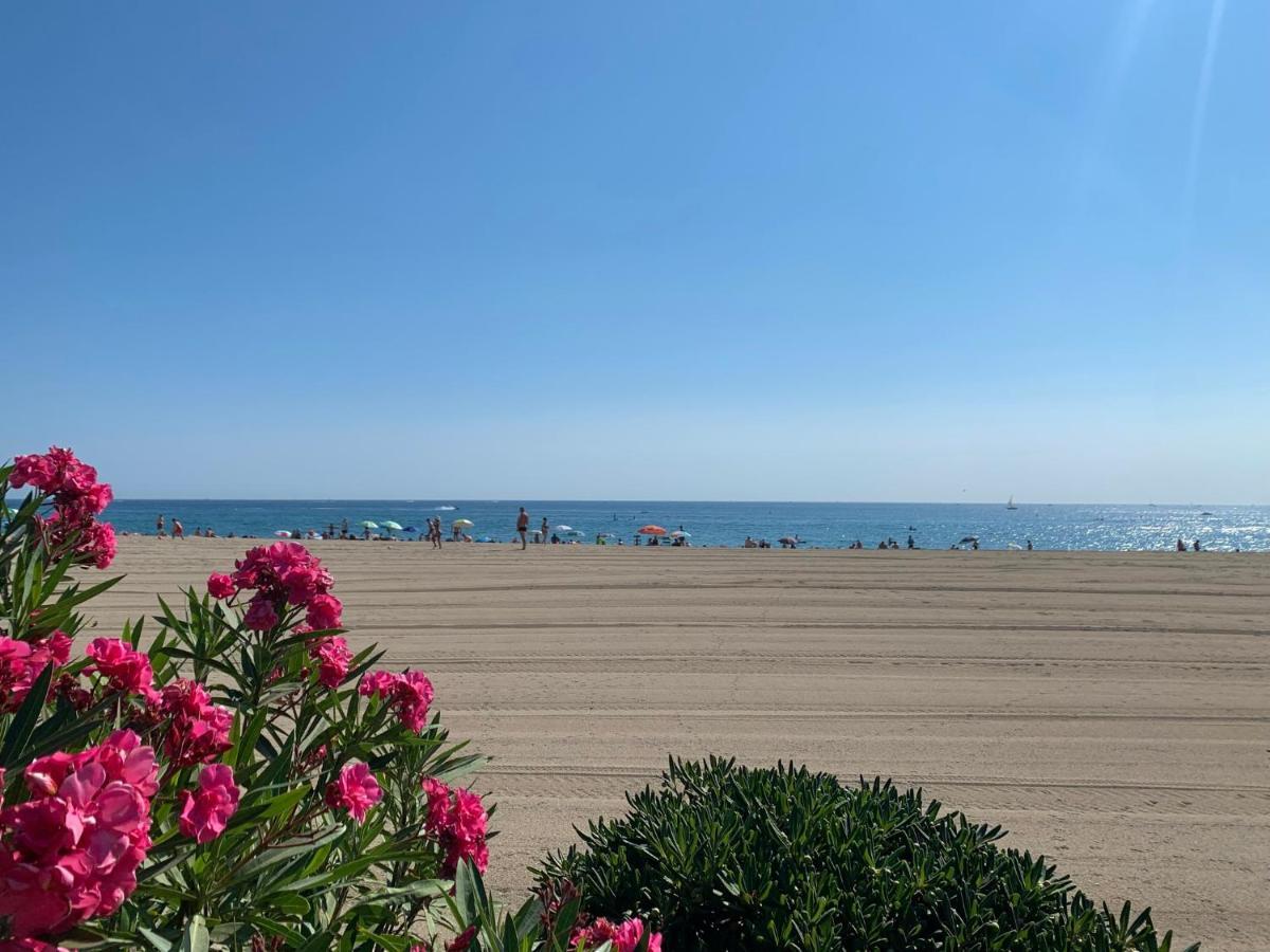 Superbe Appartement Neuf Entre Mer Et Pins Wifi Argeles-sur-Mer Ngoại thất bức ảnh